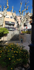 Cafeteria El Forn